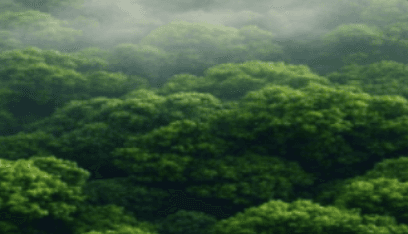 Lifecycle recovery and circular flows