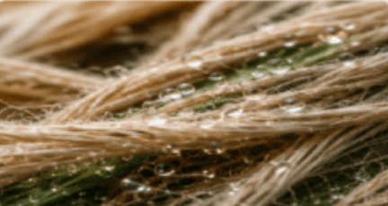 Natural fiber threads